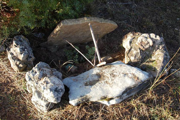 Quota de grives, la Lozère non impactée