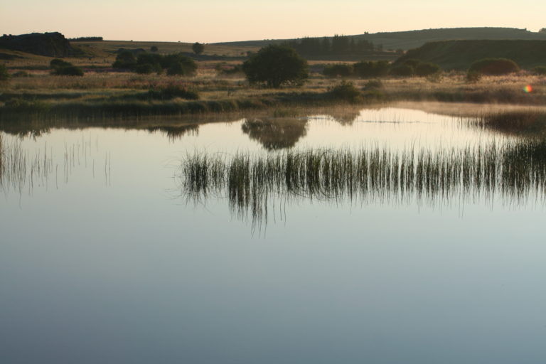Aménagement et valorisation d’un site abritant la moule perlière et une avifaune remarquable le long de la rivière Bès sur l’Aubrac